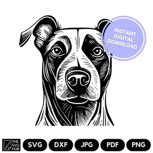 May include: Black and white line art illustration of a dog's head. The dog has a short, pointed snout and large, round ears. The illustration is in a woodcut style.