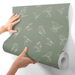 Bird wallpaper green peel and stick wall paper wildlife wall decor for accent wall vinyl wallpaper for kitchen removable wallpaper textured