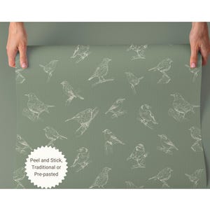Bird wallpaper green peel and stick wall paper wildlife wall decor for accent wall vinyl wallpaper for kitchen removable wallpaper textured