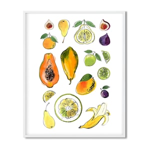 Fruits and berries. Food illustration in ink on white background. Interior posters, files for printing