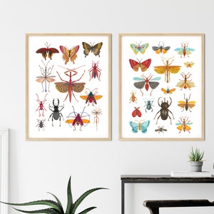 Posters with insects. Graphics for the interior, nursery decor. Butterflies, beetles