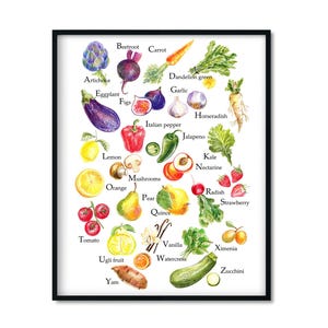 Poster mit Obst und Gemüse englisches Alphabet. Dekor für das Kinderzimmer und die Klasse. Zeichnung mit Buntstiften.