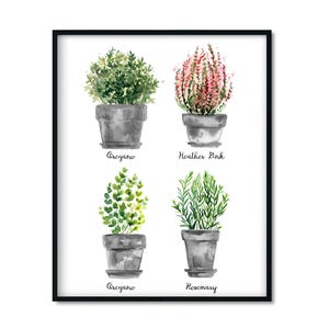 Poster Würzige Kräuter in Keramiktöpfen. Poster mit botanischer Aquarell Illustration. Druckbare Dekoration