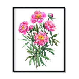 Pink peonies flower. Posters with botanical illustration. Home decor, printable