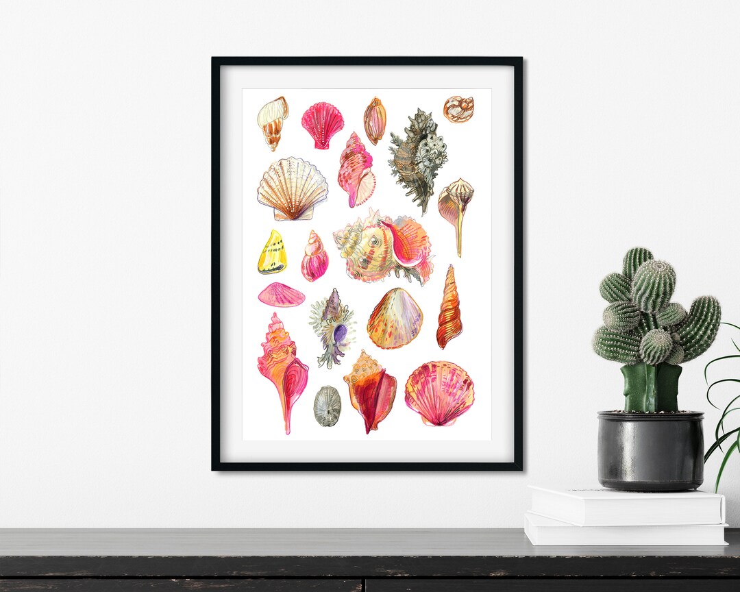 Seashell Posters. Graphics for the Interior, Nursery Decor. Etsy