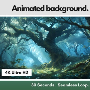 Sfondo animato 4K Foresta mistica incantata / Streaming, VTuber, Twitch, YouTube / Sfondo telefono bonus