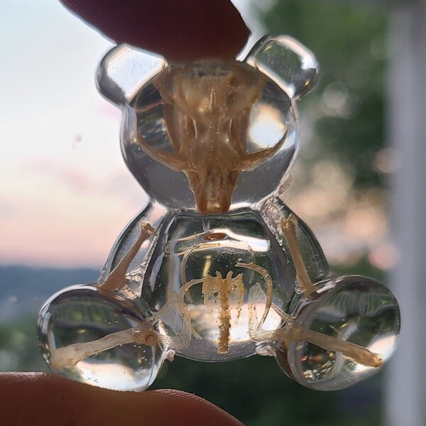 Resin Teddy Skeleton