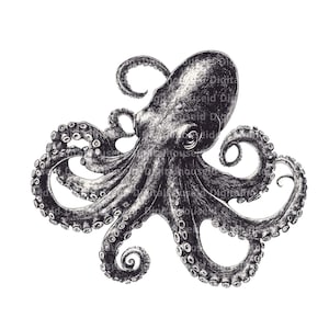 11 Octopus Clipart, Octopus Ink, Black White, Printable Watercolor clipart, High Quality JPG, Digital download, Paper craft, junk journals