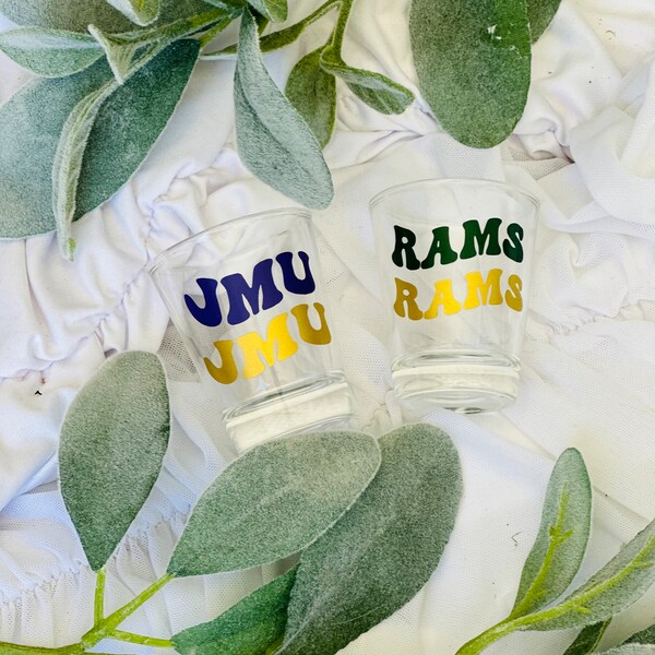 College Shot Glass, Shot Glass, College, College Party, Glass, School, College Gift, College Cup, Cup, Custom, Customized, Personalized