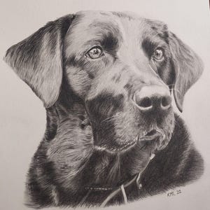 Custom Pencil Portrait of Your Pet