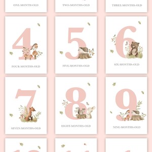Baby Girl&#39;s Milestone Cards (Woodland Doe Forest)