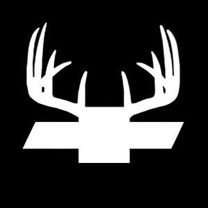 decal