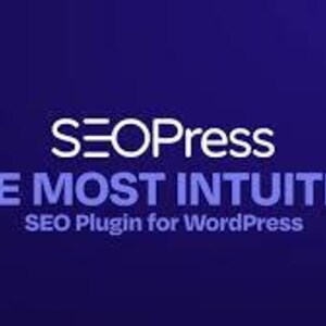 SEOPress Pro v9.2 | WordPress SEO-plugin (digital nedladdning) bild 2