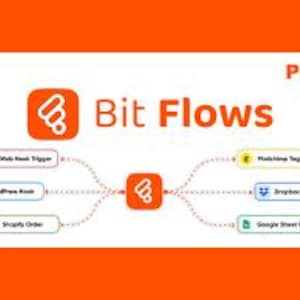 May include: An orange and white graphic with the text "Bit Flows" and the word "PRO". The graphic shows a central orange square with a stylized icon, connected by dotted lines to various labeled boxes, including "Web Hook Trigger" and "Matching Tag".