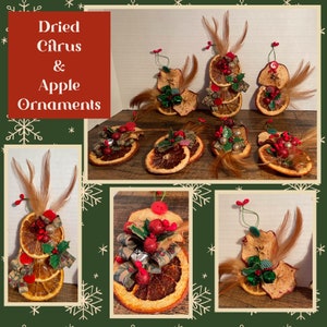 Dried Apple and Orange Christmas Ornaments