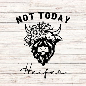 No hoy novilla SVG vaca SVG vaca de las tierras altas SVG país oeste sur SVG / PNG Clip Art Archivo digital Descarga instantánea Fondo transparente