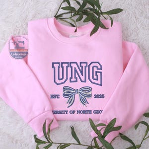Custom College Embroidered, Personalized School Colors Sweatshirt, College Hoodie with Bow, Sorority Custom Sweaters, Back to College Gift
