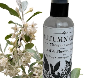 Hidrolato de hoja y flor de olivo de otoño • Bruma botánica de 118 ml • Tónico aromático verde-floral