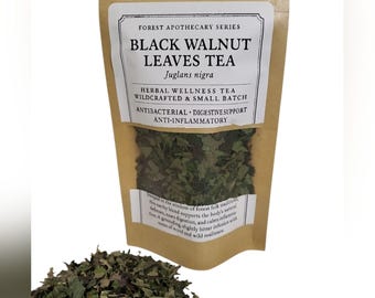 Infusión de hojas de nogal negro – Bienestar silvestre