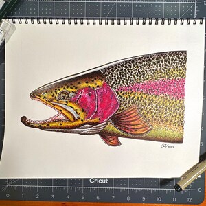 Original “Rado Bow” 12” x 9”