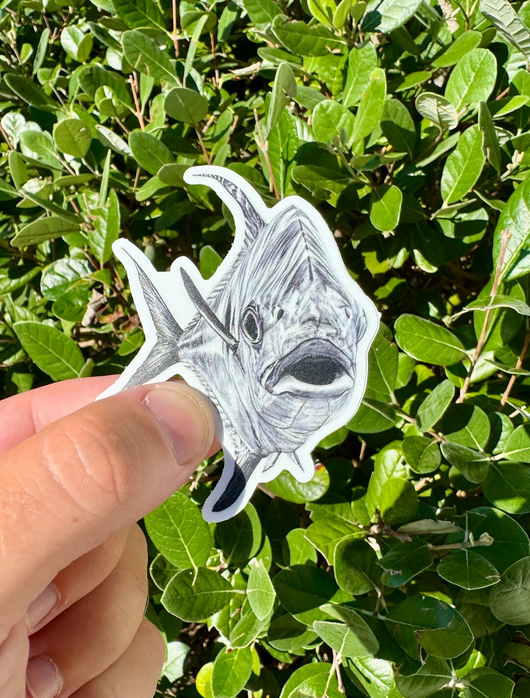 Bic Permit Sticker 3 X 3 - Etsy