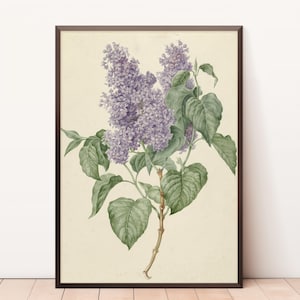 Lavender-Purple Lilacs | Baby Shower | Bridal Shower Games | Nursery Wall Art | Instant Download | Lilac Lavender | Bathroom Wall Art