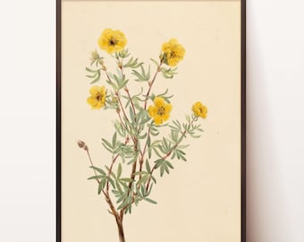 Yellow Antique Botanical Print | Botanical Wall Art Print Instant Download | Digital Download Printable | Printable Art