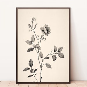 Esboço botânico vintage | Decoração de Casa | Desenho de flor vertical | Impressão para download | Arte de esboço de ramo neutro | Pintura aquarela