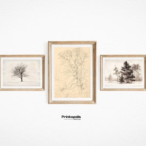 Rustic Antique Gallery Wall Print Set of 3 | Neutral Tree Sketch Etching Prints | Digital PRINTABLE