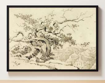 Boomtekening | Landschapsschets | Vintage tekening | Boomschets | Galerij kunst aan de muur | Antieke schets