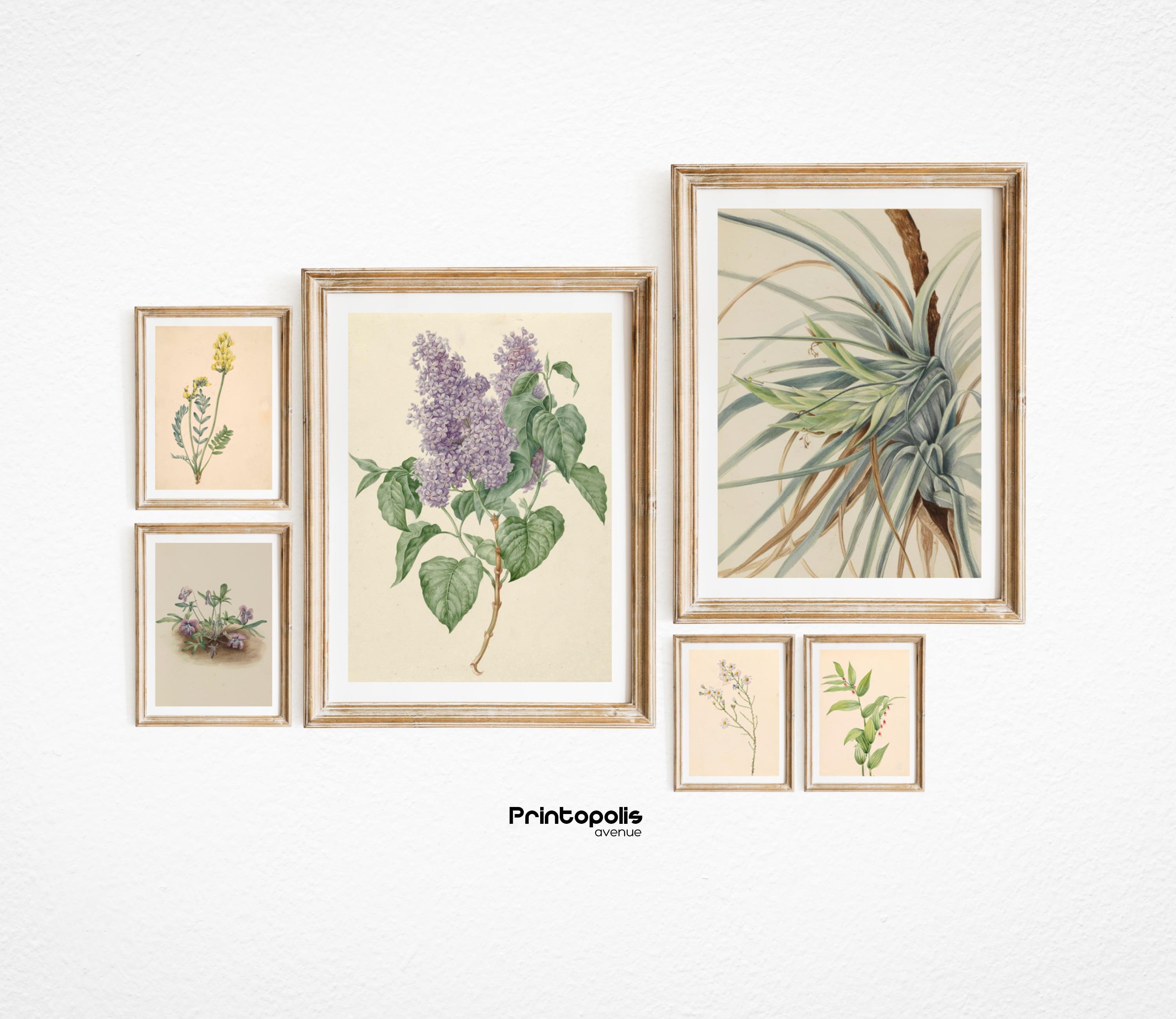 Antique Botanical Prints | Printable Vintage Gallery Wall Art Set of 6 ...