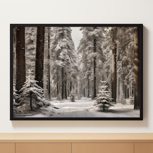 K&ouml;nnte beinhalten: Eine verschneite Waldszene mit hohen Kiefern, die mit wei&szlig;em Schnee bedeckt sind. Die B&auml;ume stehen dicht beieinander und erzeugen so ein Gef&uuml;hl von Tiefe und Geheimnis. Der Boden ist mit einer dicken Schneeschicht bedeckt, und das Licht ist weich und diffus, was eine friedliche und ruhige Atmosph&auml;re erzeugt.