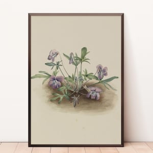 Impression botanique antique originale | Impression ancienne originale coloriée à la main | Impression d'art mural botanique Téléchargement instantané | Violettes vintage