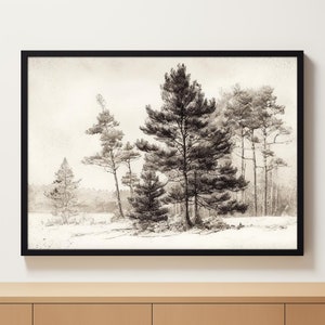 Vintage Pine Tree Art | Printable Wall Art | Botanical Art | Pine Tree Art | Vintage Tree Drawing | Digital Print | Printable Tree Art