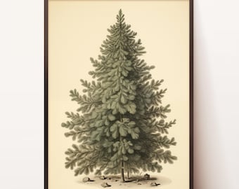 Könnte beinhalten: Ein gerahmter Vintage-Botanischer Druck eines detaillierten Nadelbaums. Das Kunstwerk zeigt einen grünen Baum mit hellbeigem Hintergrund und einem dunkelbraunen Rahmen. Kleine Steine befinden sich am Fuß des Baumes.