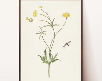 Flor amarilla con un insecto / Decoración de granja / Botánico vintage / Flor amarilla / Arte de la pared de flores / Impresión de bellas artes / Estampado de flores