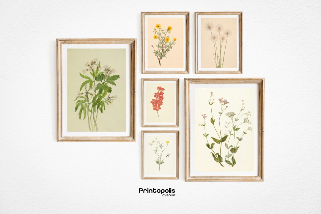 Antique Botanical Prints | Printable Vintage Gallery Wall Art Set of 6 ...