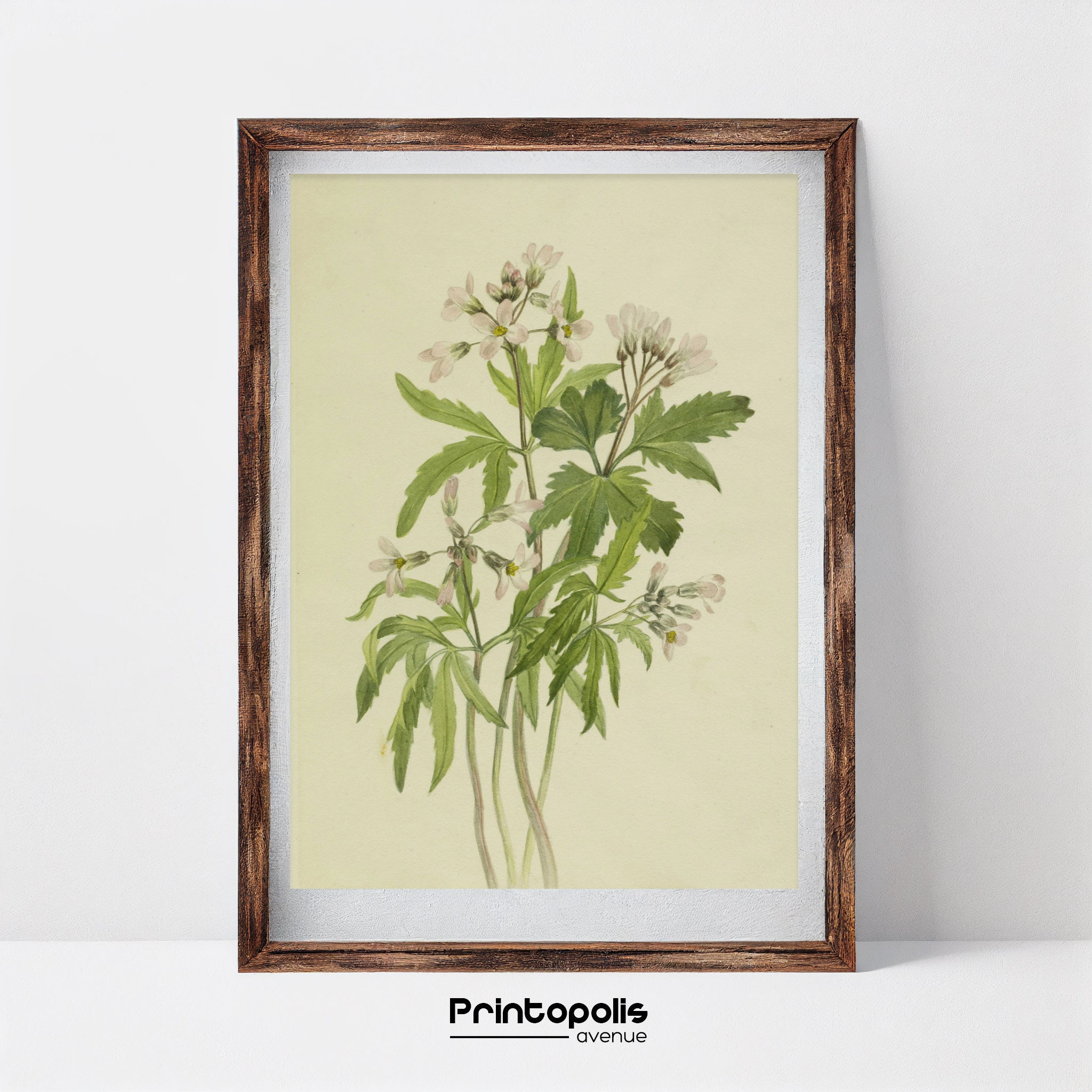 Antique Botanical Prints | Printable Vintage Gallery Wall Art Set of 6 ...