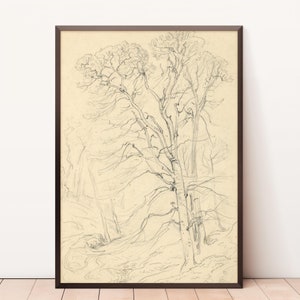 Rustic Nursery Tree Print | Vintage Tree Sketch Art | Woodland Decor Antique Drawing PRINTABLE