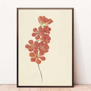 Flower Drawing | Floral Print | Hand Drawn Vector Flowers | Digital Download | Fine Art Print | Botanical Art