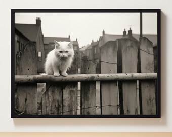 White Cat Print, Cute Cat Poster, White Cat Art, Vintage Photo Print, Cat print, Cat gift, Home decor Poster