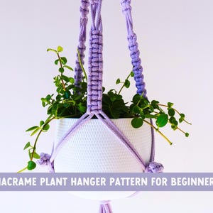 Può includere: Un vaso di ceramica bianco pieno di piante verdi, sospeso da un portavaso in macramè lavanda. Il testo "MACRAME PLANT HANGER PATTERN FOR BEGINNERS" è visualizzato su uno striscione lavanda.