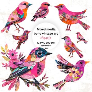 Könnte beinhalten: Eine Sammlung farbenfroher Mixed-Media-Vogel-Cliparts in Rosa-, Orange- und Türkistönen. Die Vögel sind mit floralen Mustern und Texturen verziert. Der Text auf dem Bild lautet "Mixed media boho vintage art cliparts 12 PNG 300 DPI commercial use."