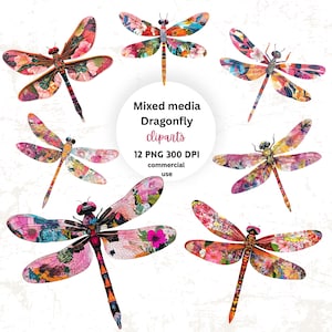 May include: A collection of mixed media dragonfly cliparts. The dragonflies feature colorful floral patterns in pink, orange, blue, and yellow. The image includes the text "Mixed media Dragonfly cliparts 12 PNG 300 DPI commercial use."