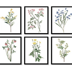 6 Blumen Blätter - Set 6 Pflanzen Poster / Set 6 Pflanzen Illustration / Set 6 Farne Aquarell / Aquarell Illustration