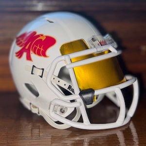 Custom Riddell Mini Helmets