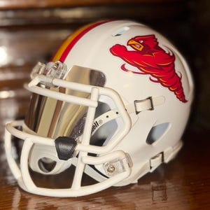 Cascos Riddell Mini personalizados