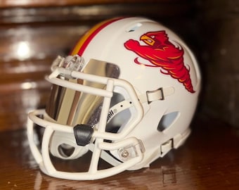 Custom Riddell Mini Helmets