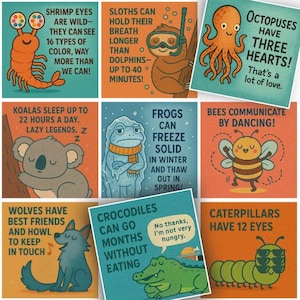 May include: A collection of nine illustrated cards with fun facts about animals. The cards feature colorful drawings of a shrimp, sloth, octopus, koala, frog, bee, wolf, crocodile, and caterpillar, each with a unique fact.