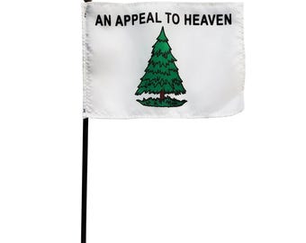 Appeal to Heaven Flag, Washington Cruisers